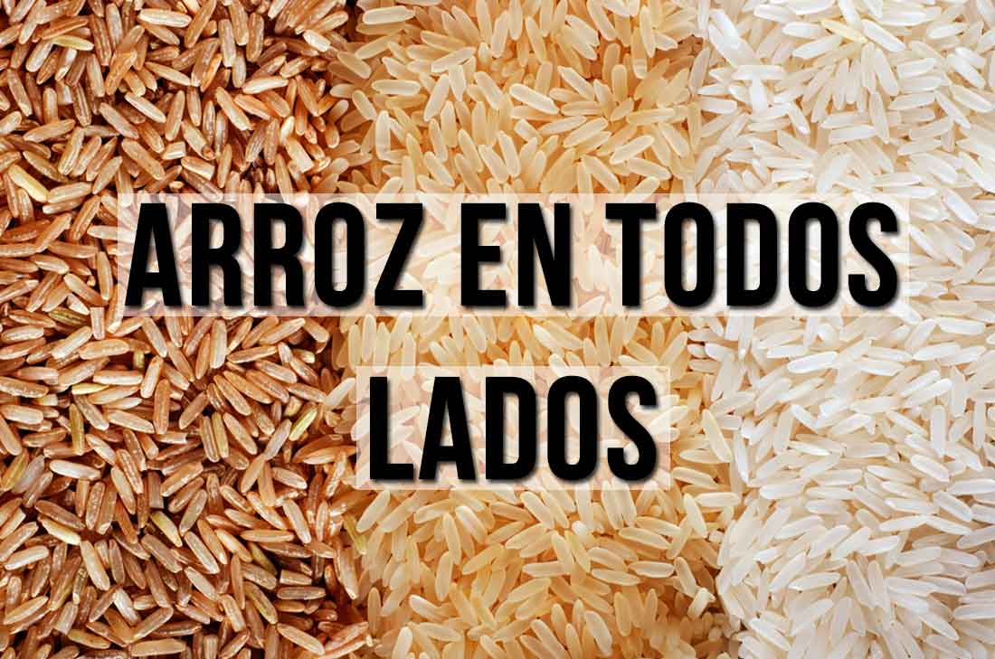 6 ideas de preparar arroz para una comida deliciosa