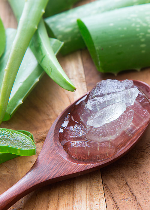 Remedios caseros para la gingivitis: aloe vera