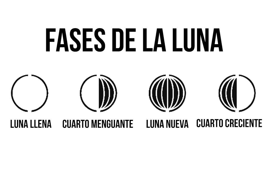 Cómo hacer la famosa dieta de la Luna | Cómo funciona para bajar de peso 0