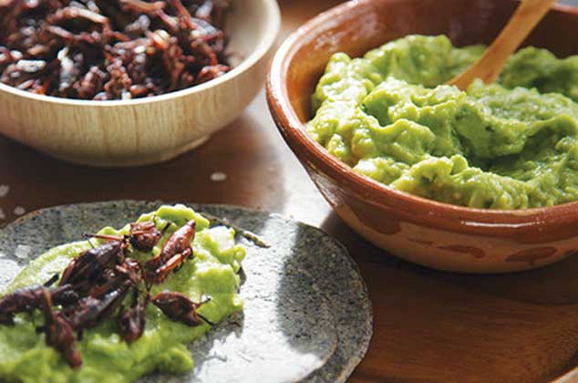 Guacamole con chapulines