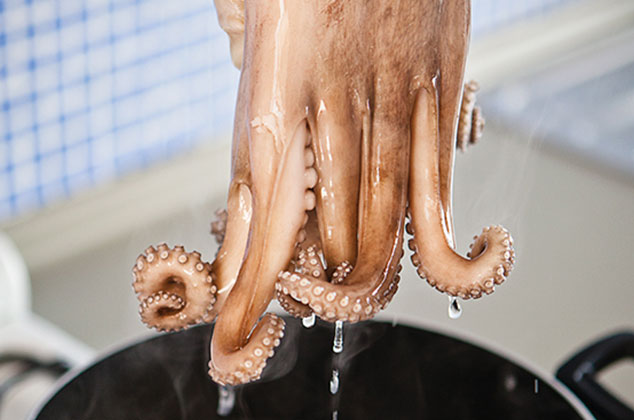 SUJETA el pulpo entero por la cabeza, con la pinzas. Sumerge en el agua y retira de inmediato. Repite el procedimiento 3 veces más. Cuece el pulpo en la olla de 15 a 20 minutos.
