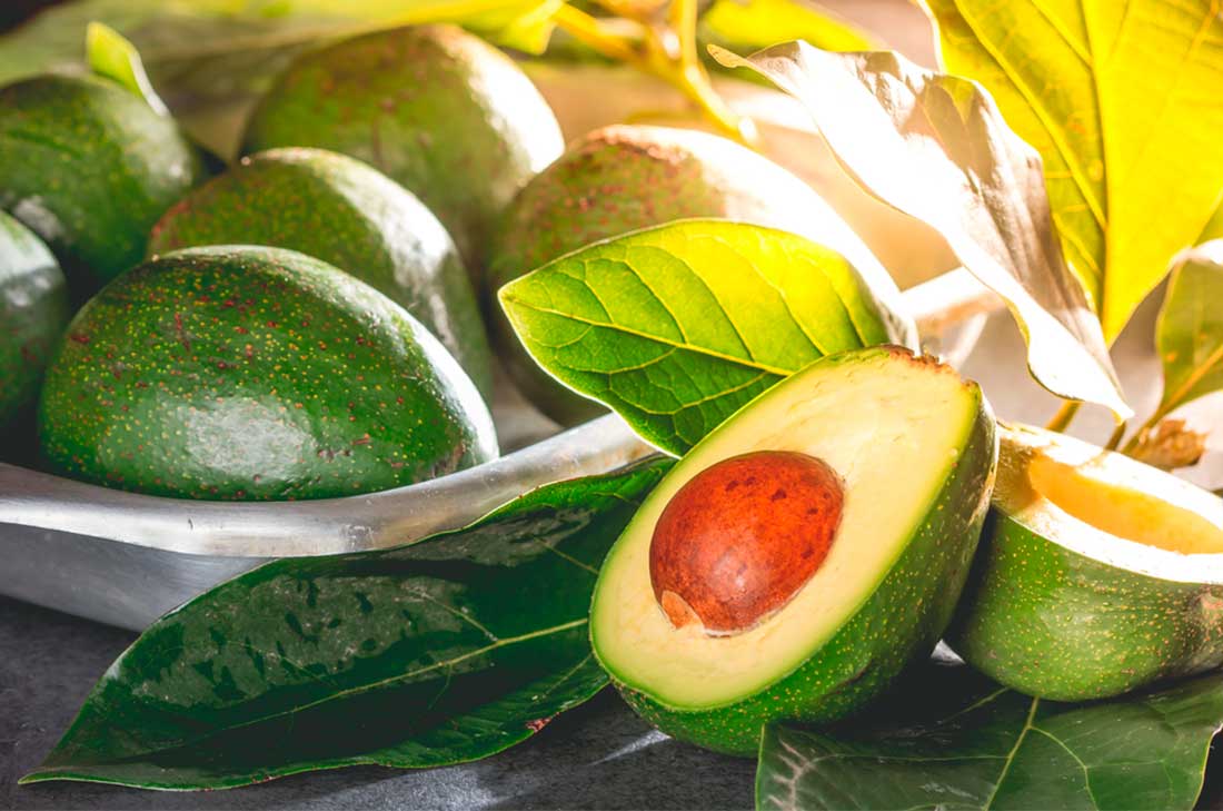 Tipos de aguacates más comunes en México 1