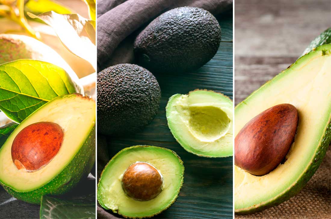 Tipos de aguacates más comunes en México