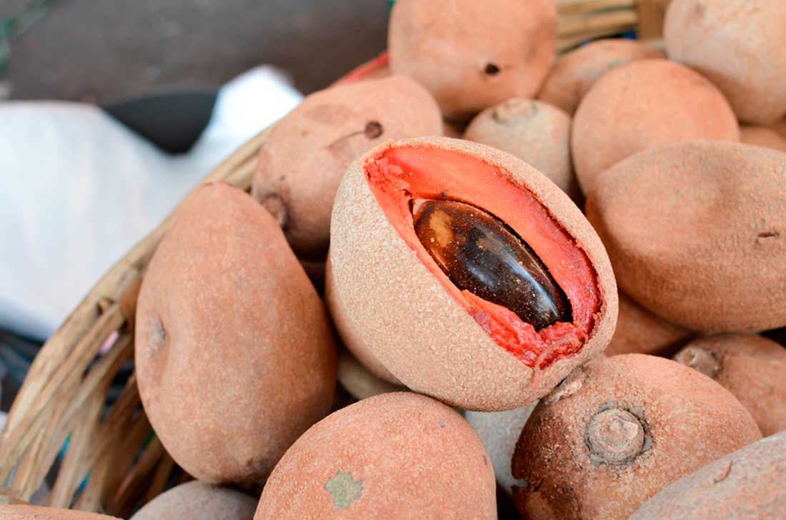 5 increíbles beneficios del mamey para el día a día 0