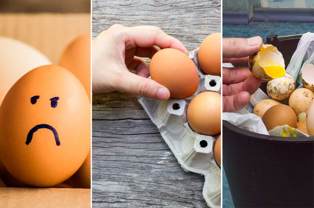 Cómo saber si un huevo sigue fresco