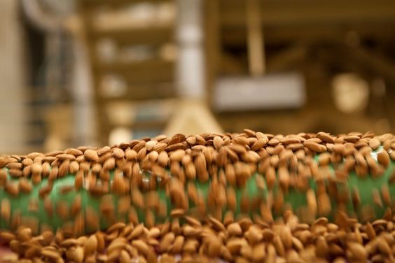 Por qué debes comer 23 almendras al día