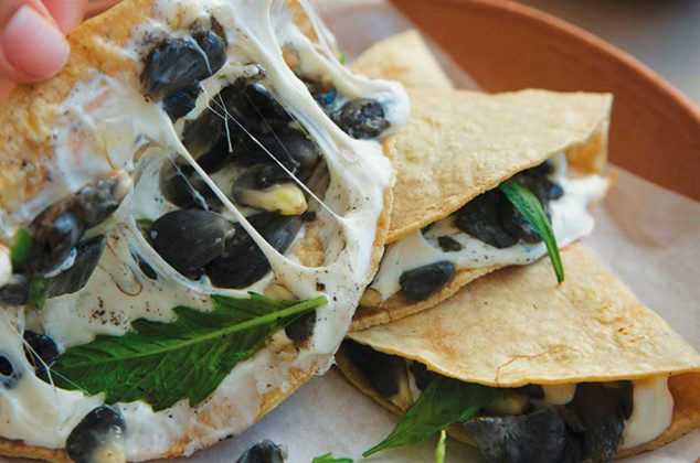 Terminarás amando el delicioso sabor de estas fáciles quesadilla de huitlacoche. Anímate a probarlas y comparte con tu familia.