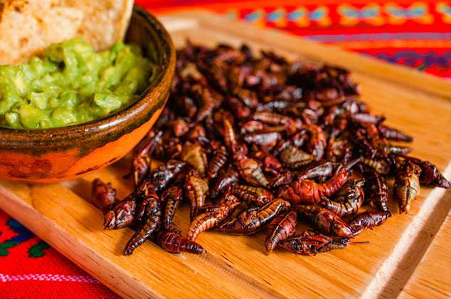 chapulines