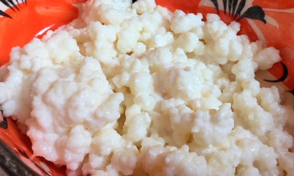 Beneficios de los búlgaros de leche