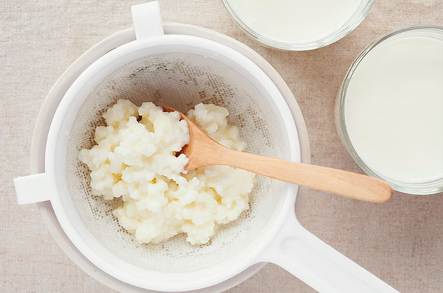 Cómo hacer búlgaros de leche desde cero en casa 0