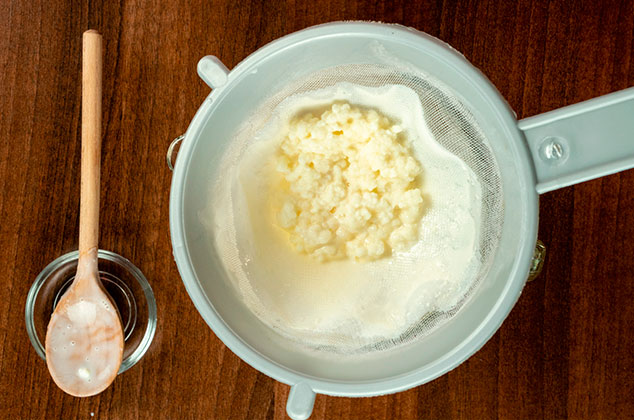 Cómo Hacer Kéfir de Leche Desde Cero en Casa - Bebidas probióticas