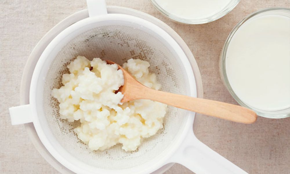 Receta de búlgaros de leche