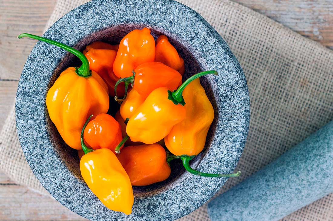 Si eres amante del picante, no podrás dejar pasar esta oportunidad de preparar 6 deliciosas recetas con chile habanero. Te van a encantar.