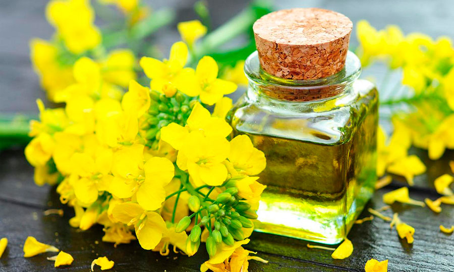 Sorprendentes beneficios del aceite de oliva y canola