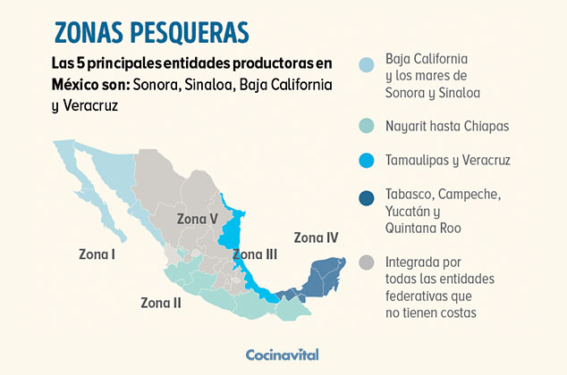 Qué es la veda marina: temporada en México 0