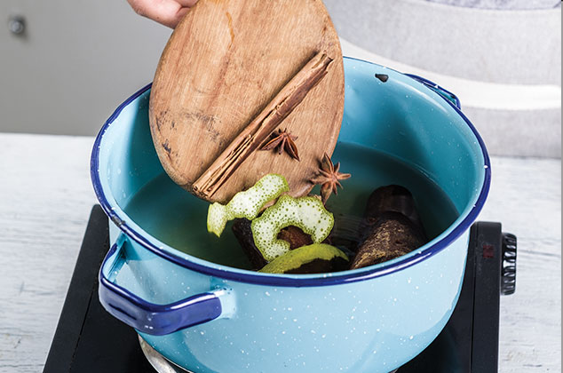 COLOCA en una cacerola el piloncillo, el agua, la canela, e anís estrella y la cáscara de naranja.