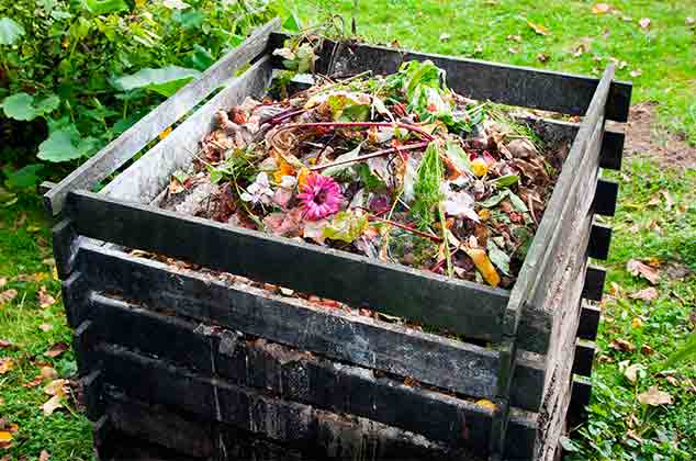 Cómo hacer una composta casera para plantas