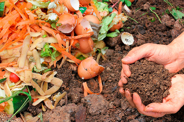 Cómo hacer una composta casera para plantas