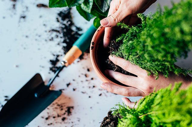 10 formas de cuidar el medio ambiente desde casa