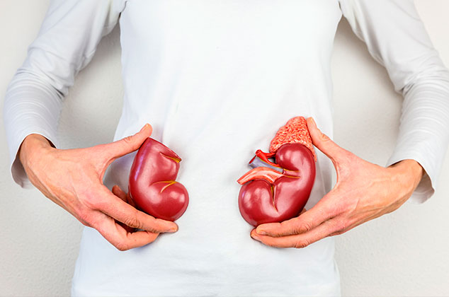 3 tips para saber qué no comer si tienes daño en el riñón