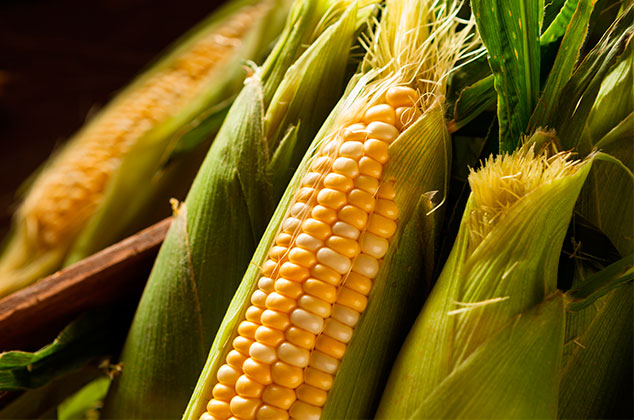11 asombrosos beneficios del maíz para nuestra salud