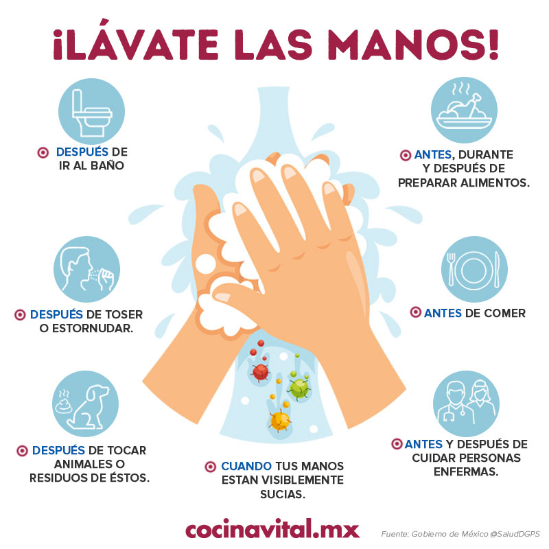 Cómo hacer gel antibacterial casero, ¡en menos de 15 min! | PROFECO 0