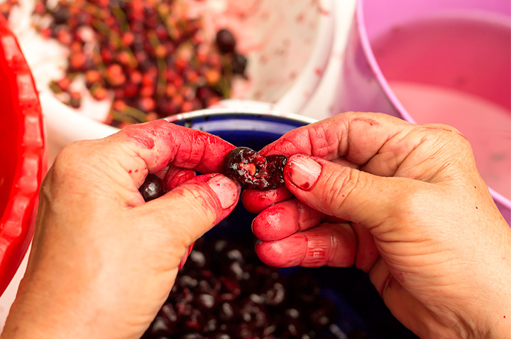 Cómo deshuesar cerezas de 4 formas diferentes, ¡fácil y rápido!