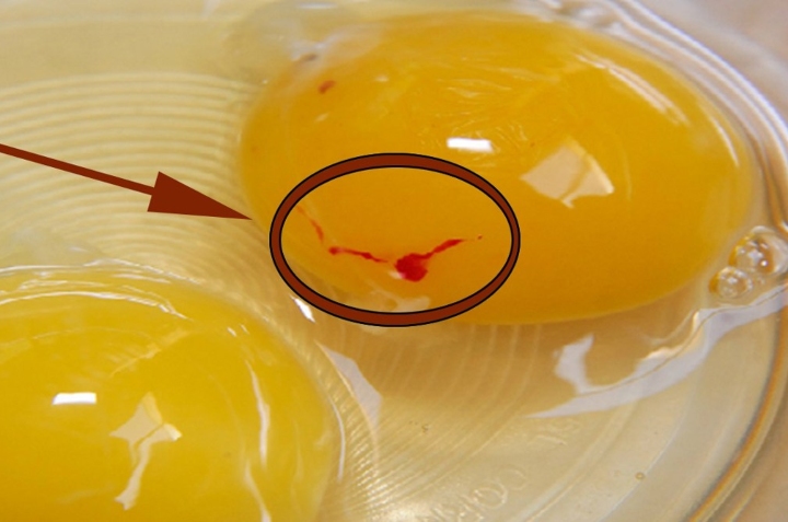 Huevos con manchas rojas