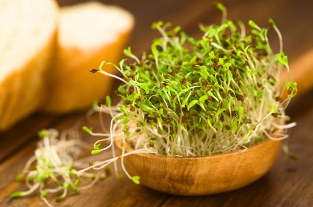¿Para qué sirve la alfalfa para el organismo?