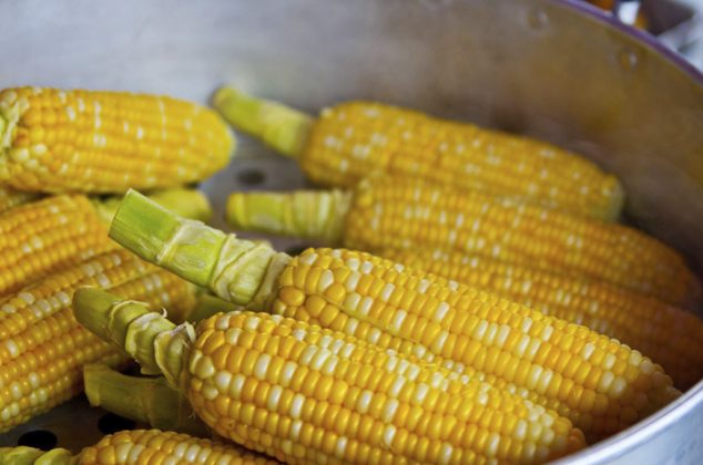 Recetas con elote