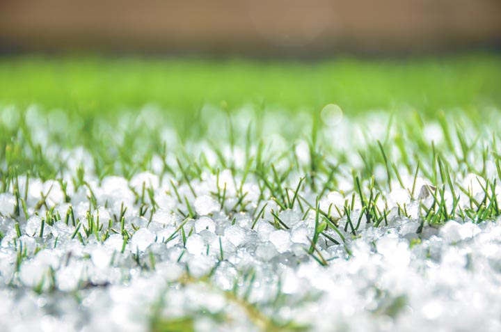 Cómo cuidar el pasto en invierno