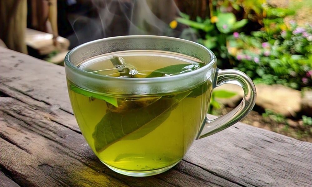Receta de té de hojas de guayaba