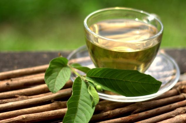 Té de hojas de guayaba: Perfecto para fortalecer el sistema inmune