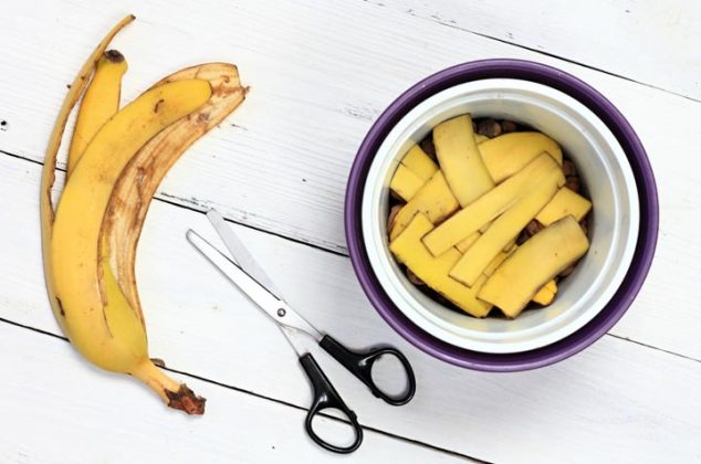 4 usos de la cáscara de plátano en las plantas