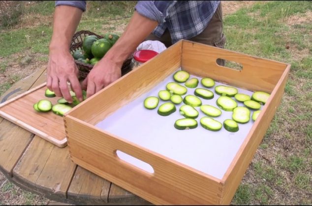 Deshidratador de alimentos para desecar frutas y verduras