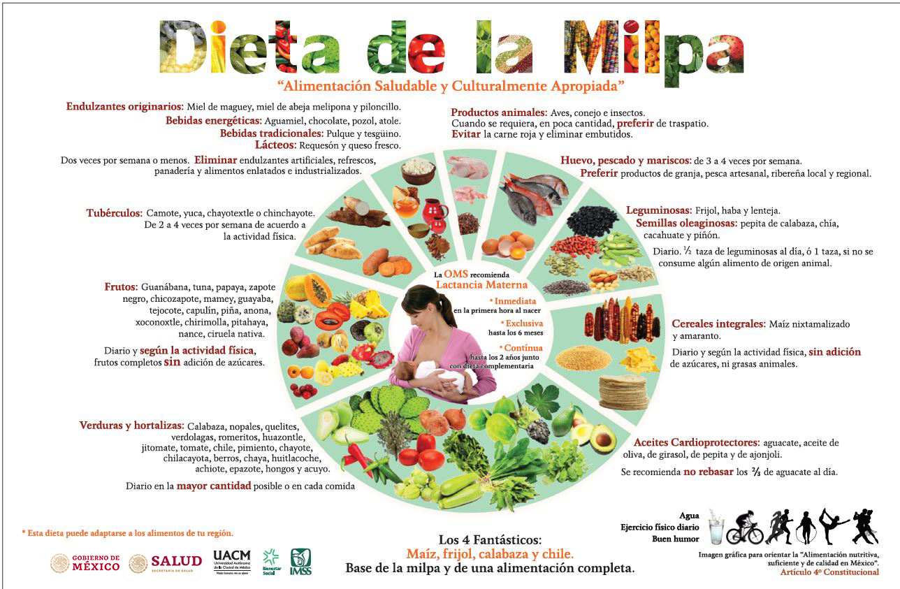 tabla de alimentos dieta de la milpa