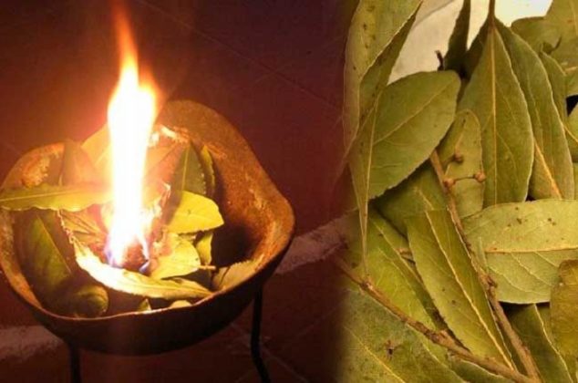 4 beneficios de quemar hojas de laurel en la cocina, casa o negocio
