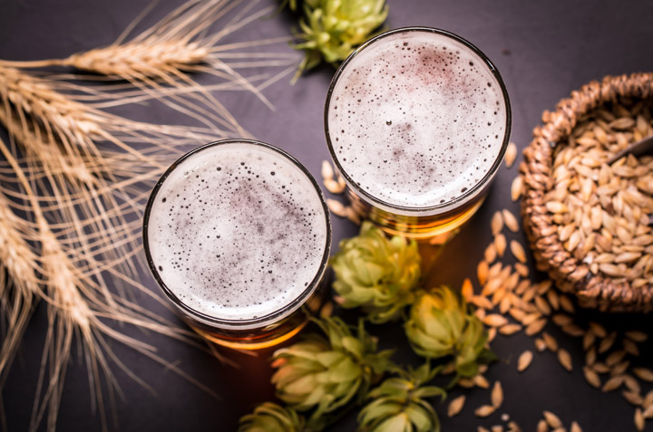 beneficios de la cerveza en las plantas