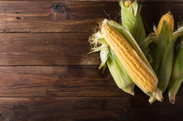 Aprende cómo cultivar maíz en casa