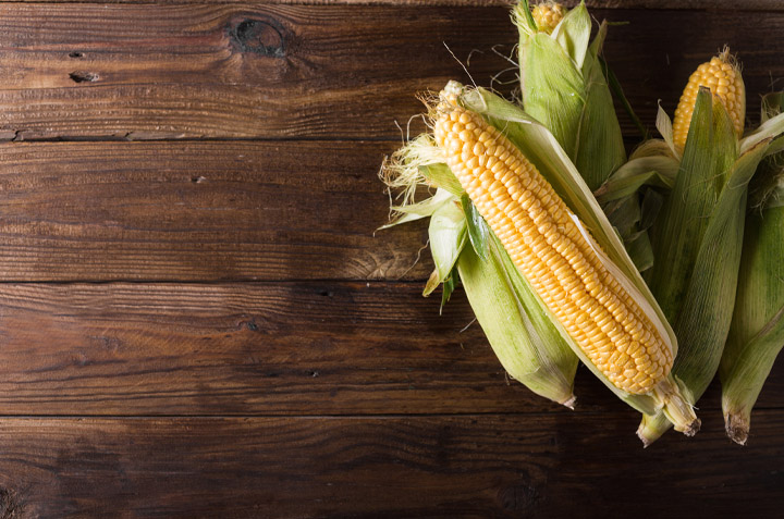 cómo cultivar maíz en casa
