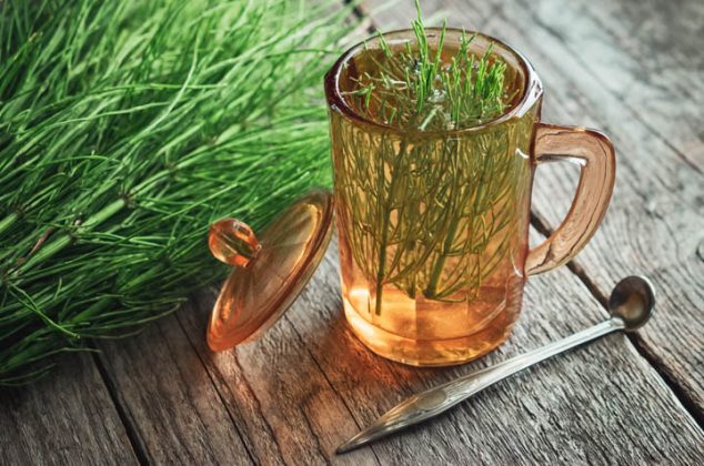 té de cola de caballo