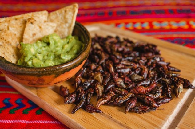 Beneficios de comer chapulines para tu salud, además de la proteína