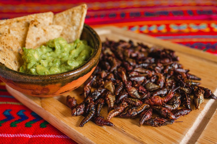 beneficios de comer chapulines