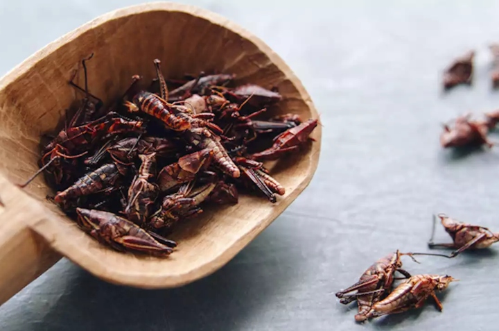 beneficios de comer chapulines 