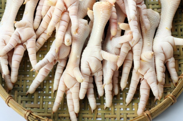 curiosidades de patitas de pollo