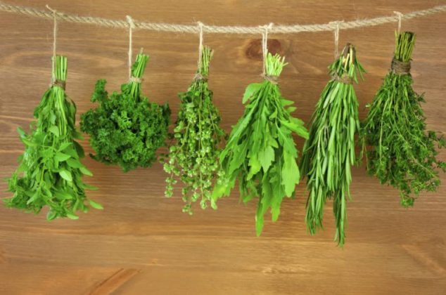 5 plantas aromáticas que puedes cultivar en casa