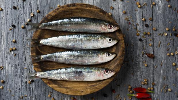 Beneficios de la sardina fresca
