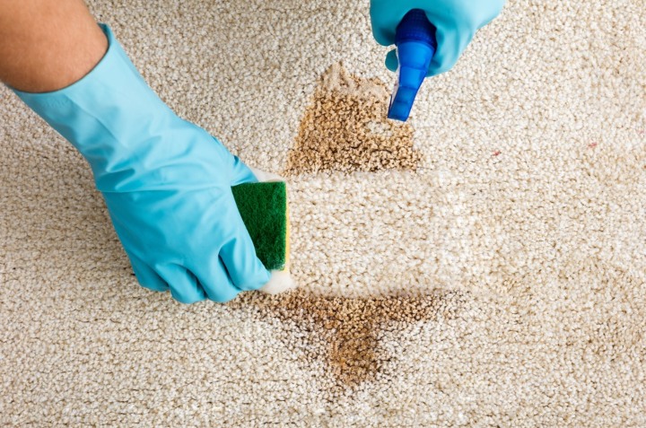 Contratado Influencia Museo Guggenheim Aprende cómo limpiar la alfombra si no tienes aspiradora | Cocina Vital