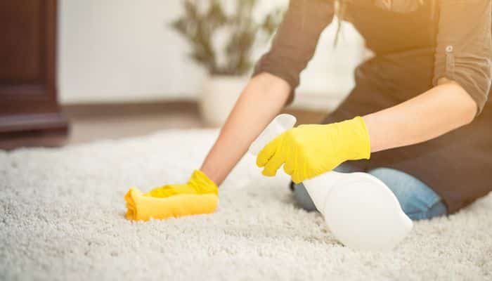 remedios caseros para limpiar alfombra