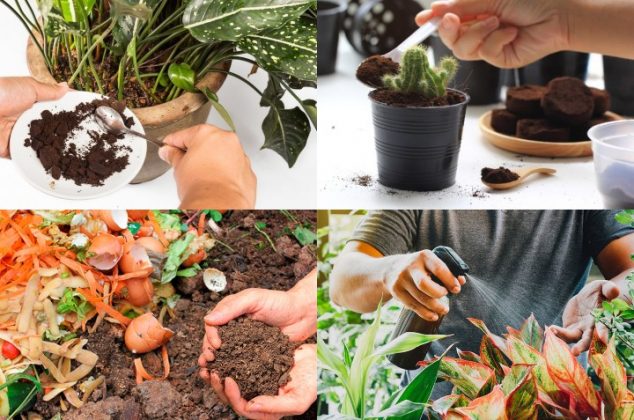 5 fertilizantes naturales y caseros que debes poner a tus plantas